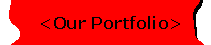 Our Portfolio