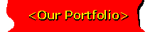 Our Portfolio
