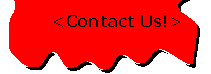 Contact Us!
